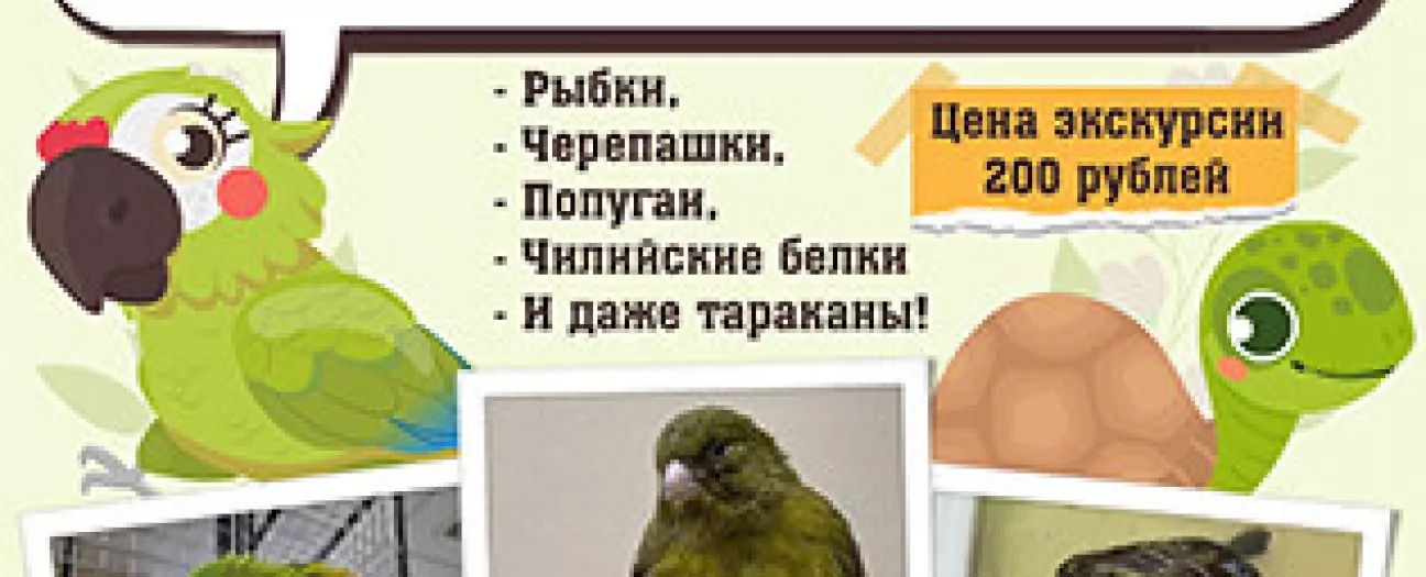 Зооуголок